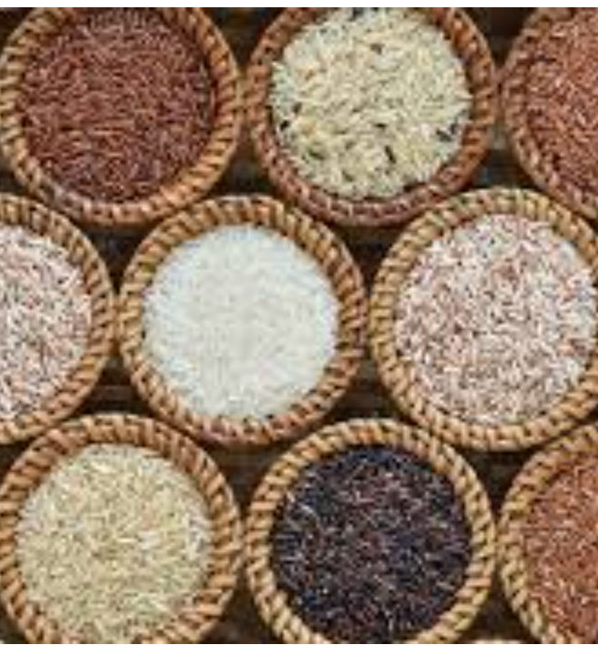 Traditional Rice Variants