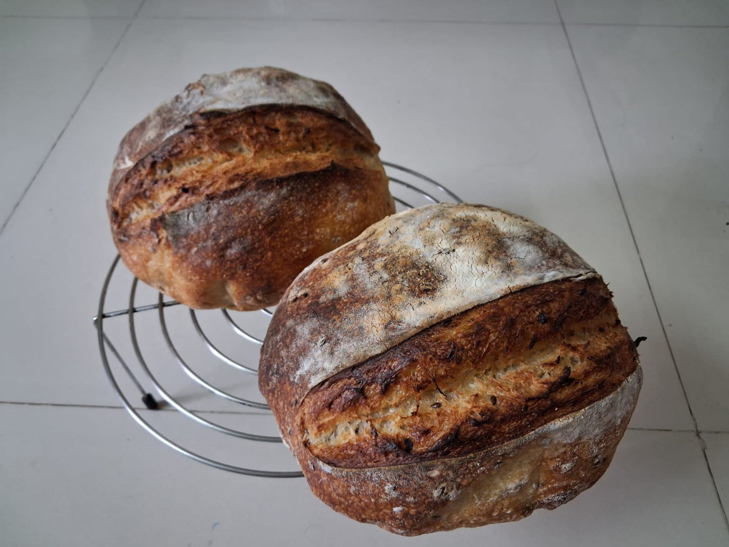 Sour Dough Bread (600gms)